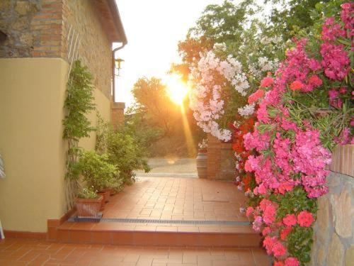 Agriturismo Colombaiolo Pienza Zewnętrze zdjęcie