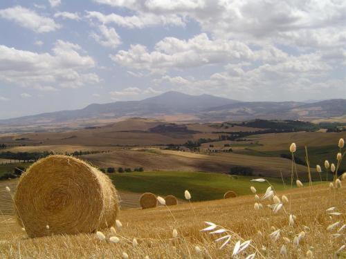 Agriturismo Colombaiolo Pienza Zewnętrze zdjęcie