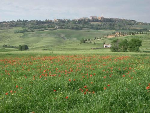 Agriturismo Colombaiolo Pienza Zewnętrze zdjęcie