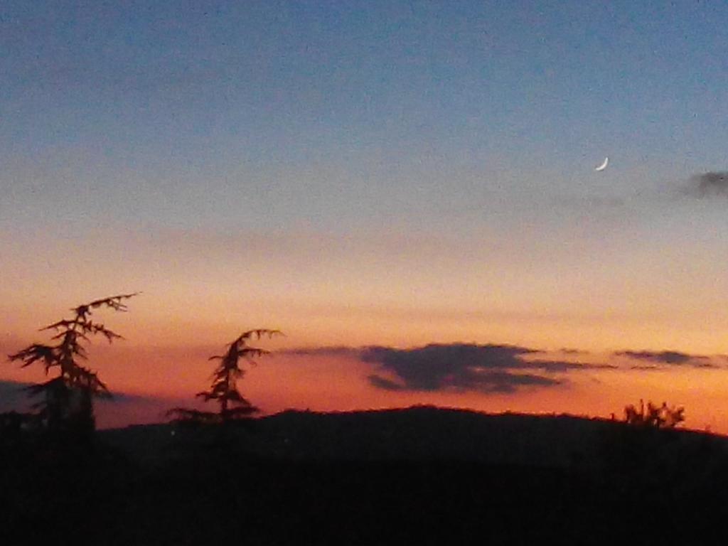 Agriturismo Colombaiolo Pienza Zewnętrze zdjęcie